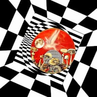 a black and white checkered pattern with a mushroom in the middle