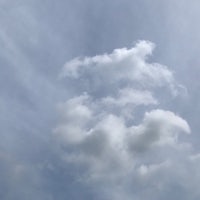 a man is flying a kite in a cloudy sky